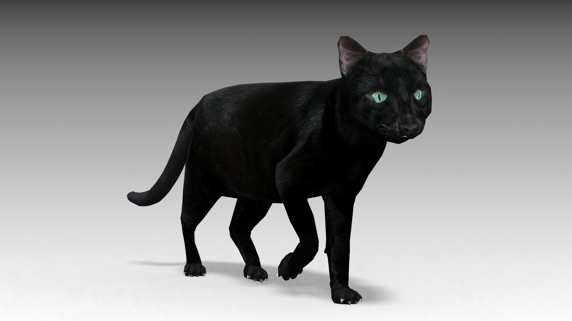 Black Cat Animated Low-poly 3D model_2