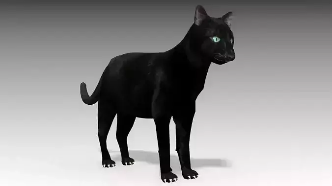 Black Cat Animated Low-poly 3D model