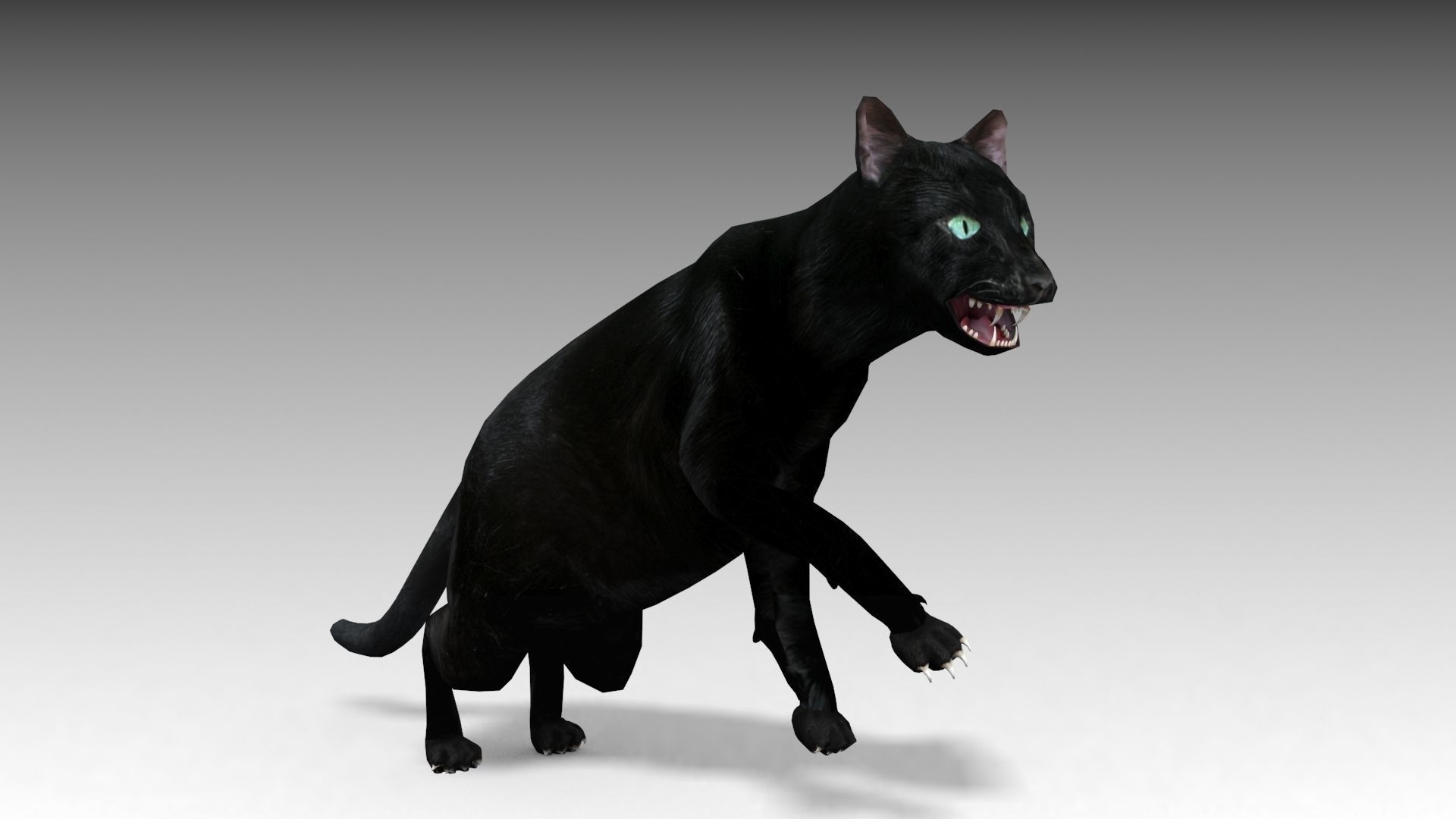 Black Cat Animated Low-poly 3D model_6