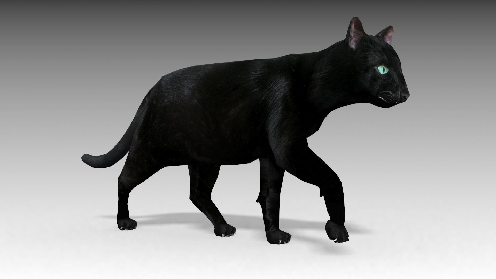 Black Cat Animated Low-poly 3D model_3