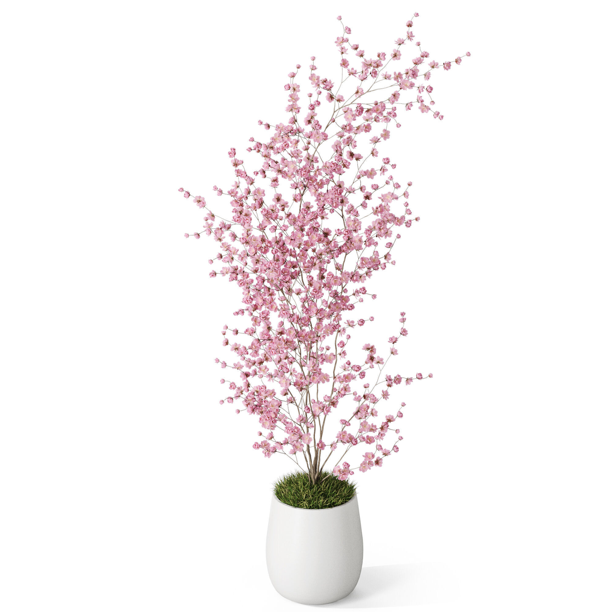 Plants collection 1199 3D model_3