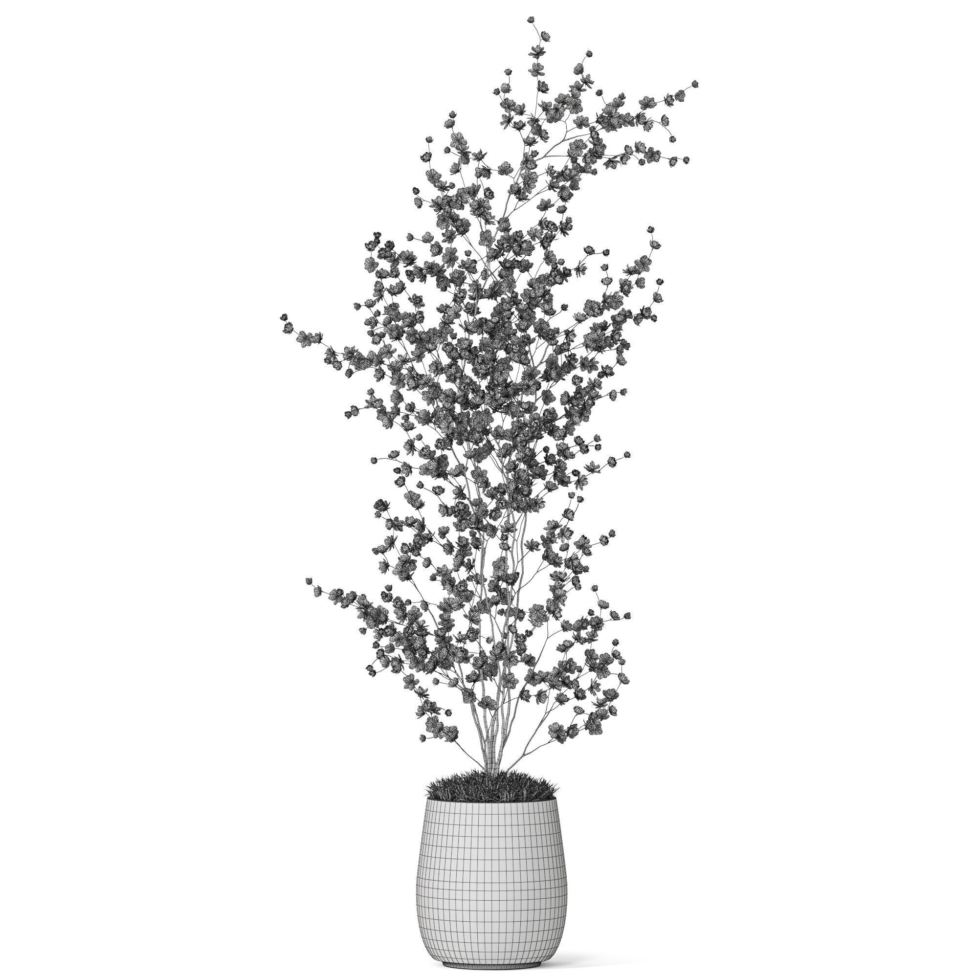Plants collection 1199 3D model_4