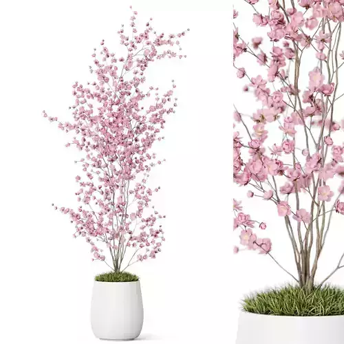 Plants collection 1199 3D model