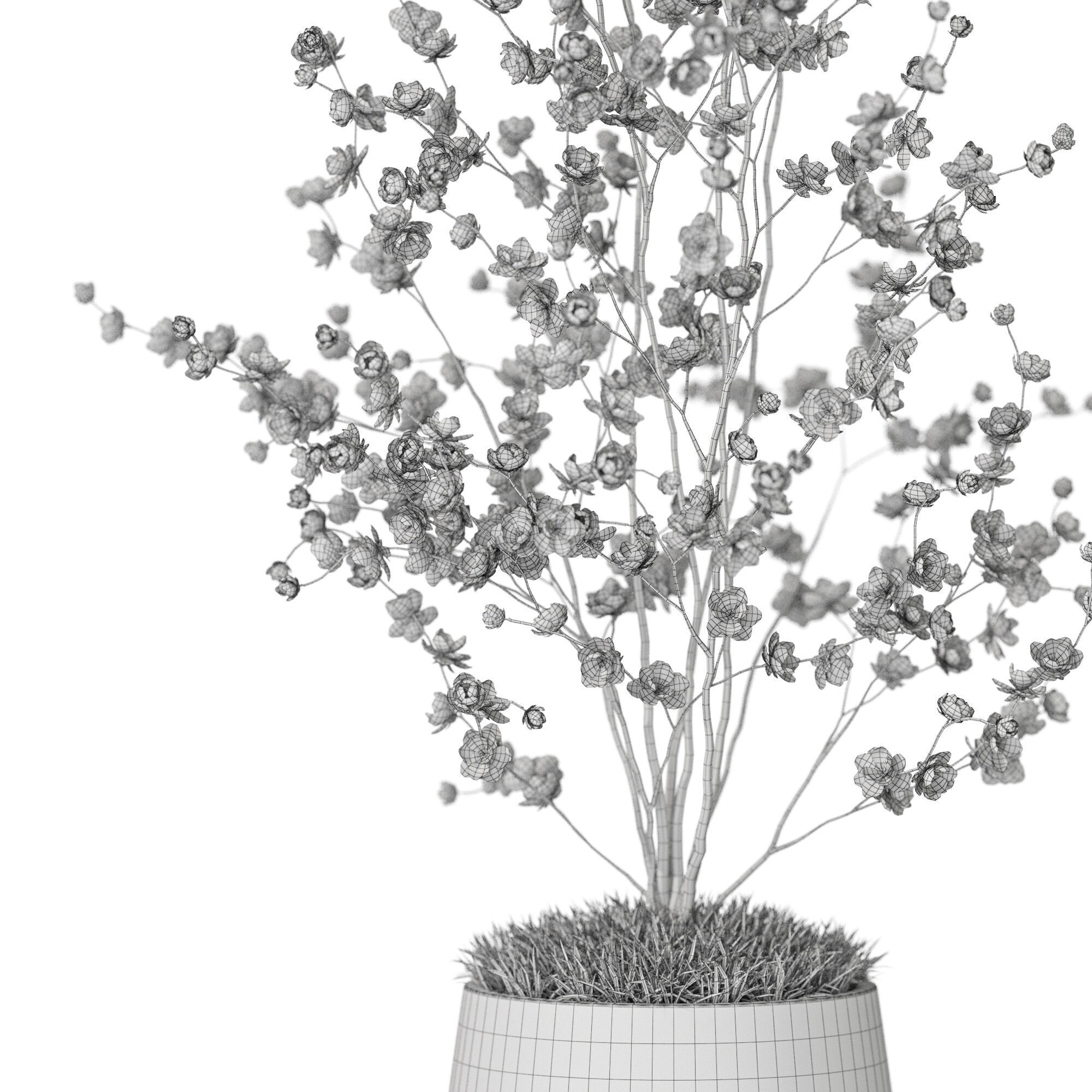 Plants collection 1199 3D model_5