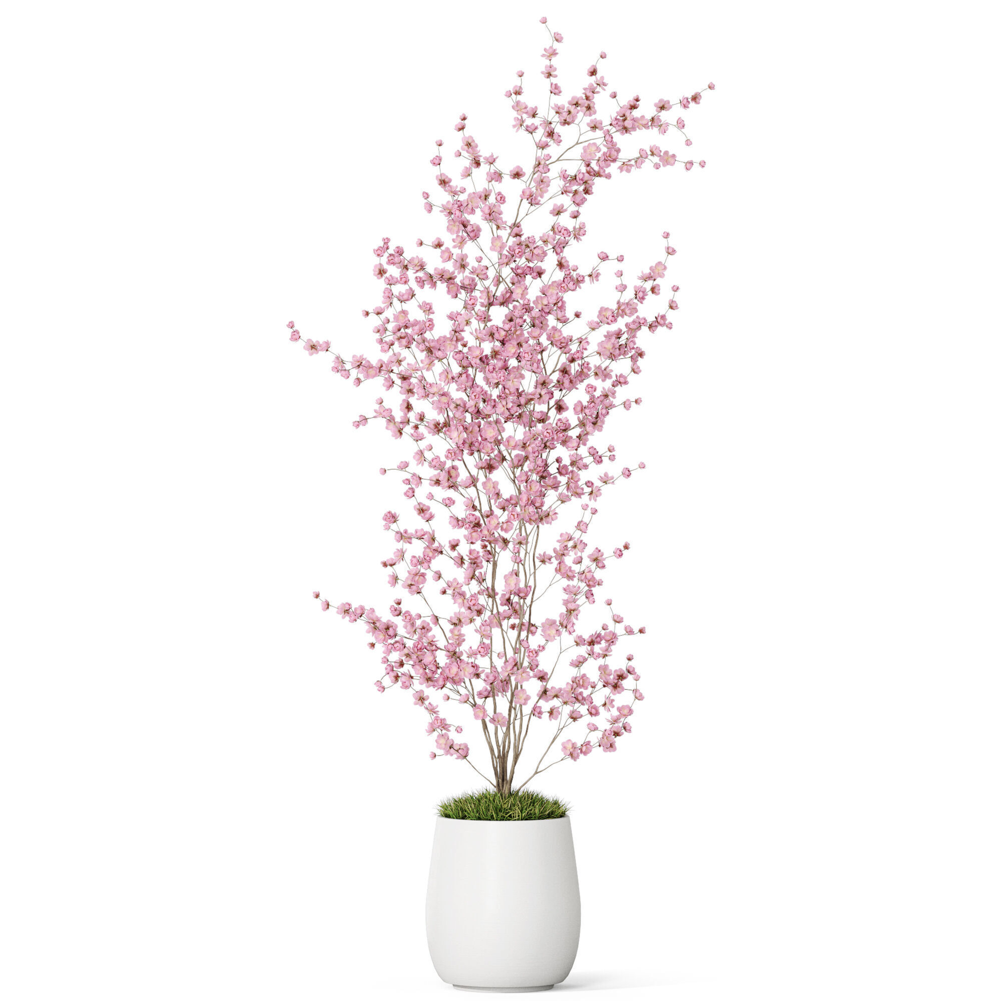 Plants collection 1199 3D model_1