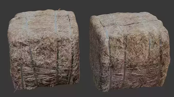 Hay Bale 3D Scan