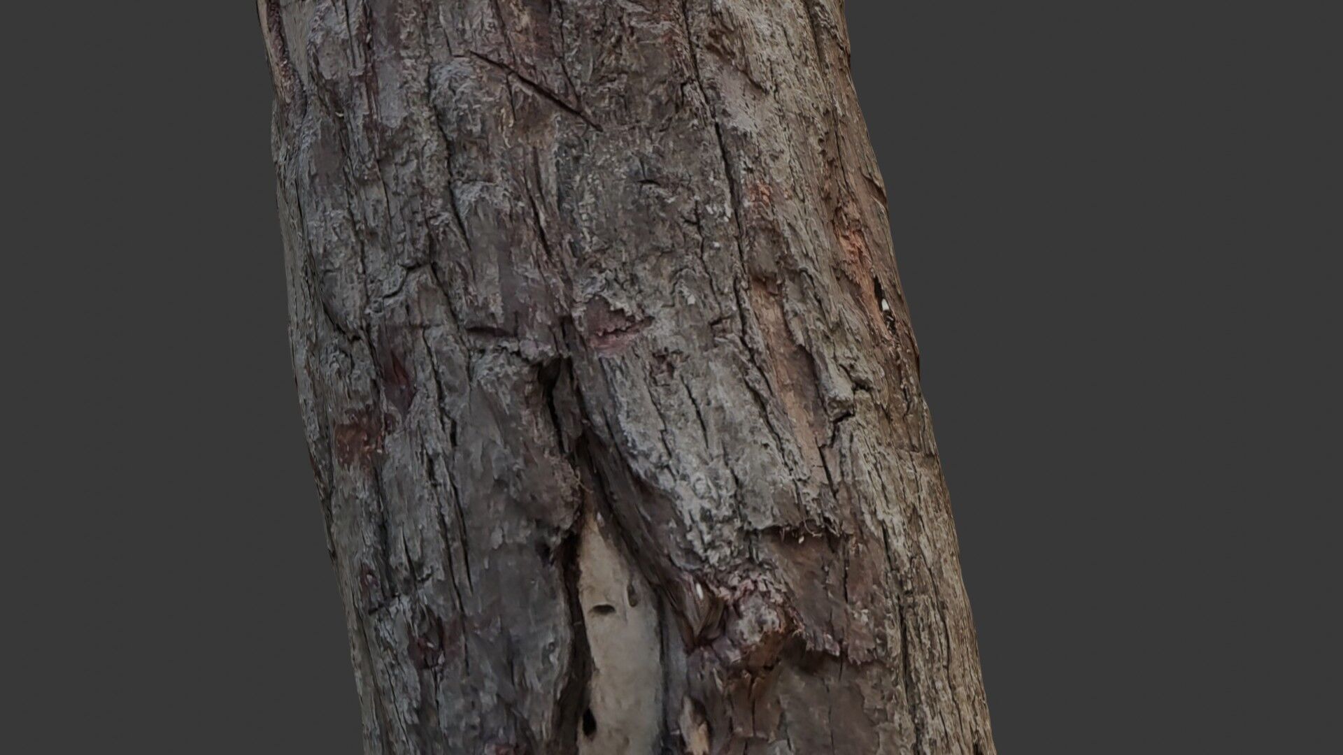 Weathered Wooden Post 3D Scan Low-poly 3D model_3