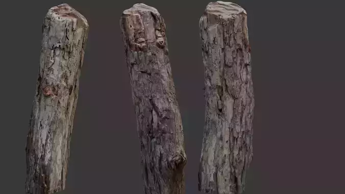 Weathered Wooden Post 3D Scan Low-poly 3D model