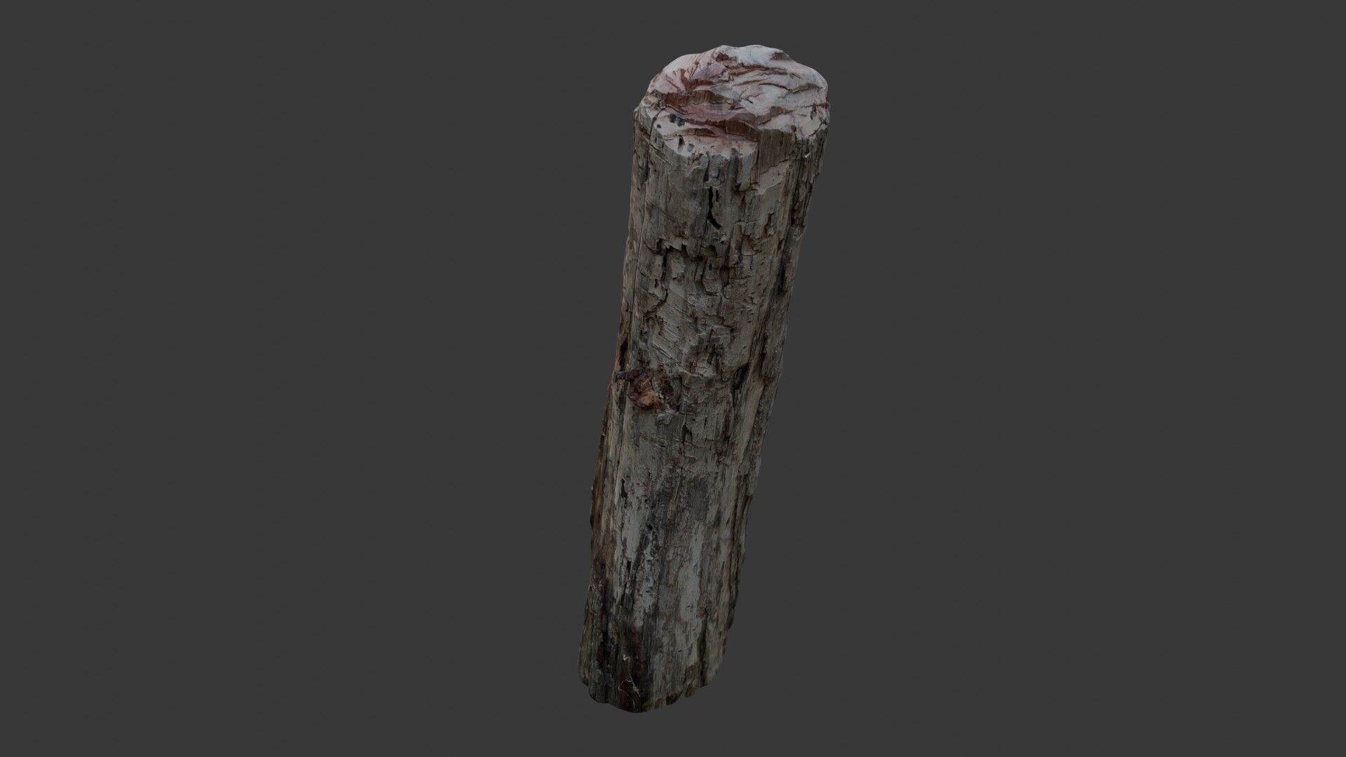 Weathered Wooden Post 3D Scan Low-poly 3D model_6