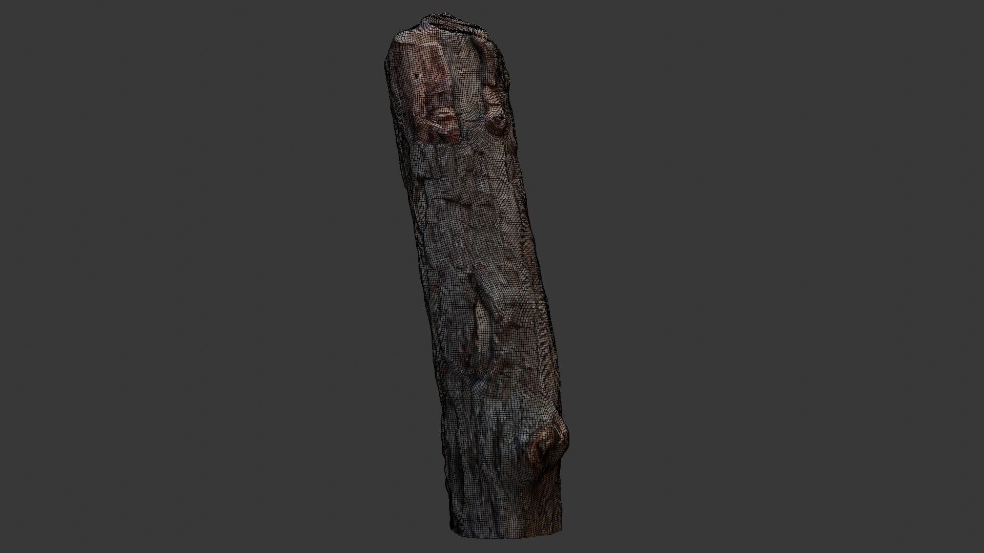 Weathered Wooden Post 3D Scan Low-poly 3D model_2
