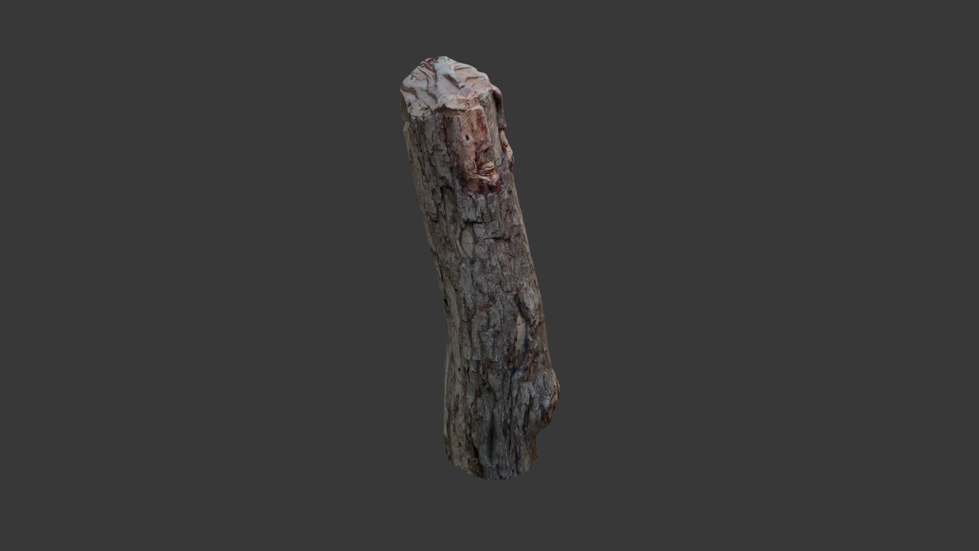 Weathered Wooden Post 3D Scan Low-poly 3D model_4