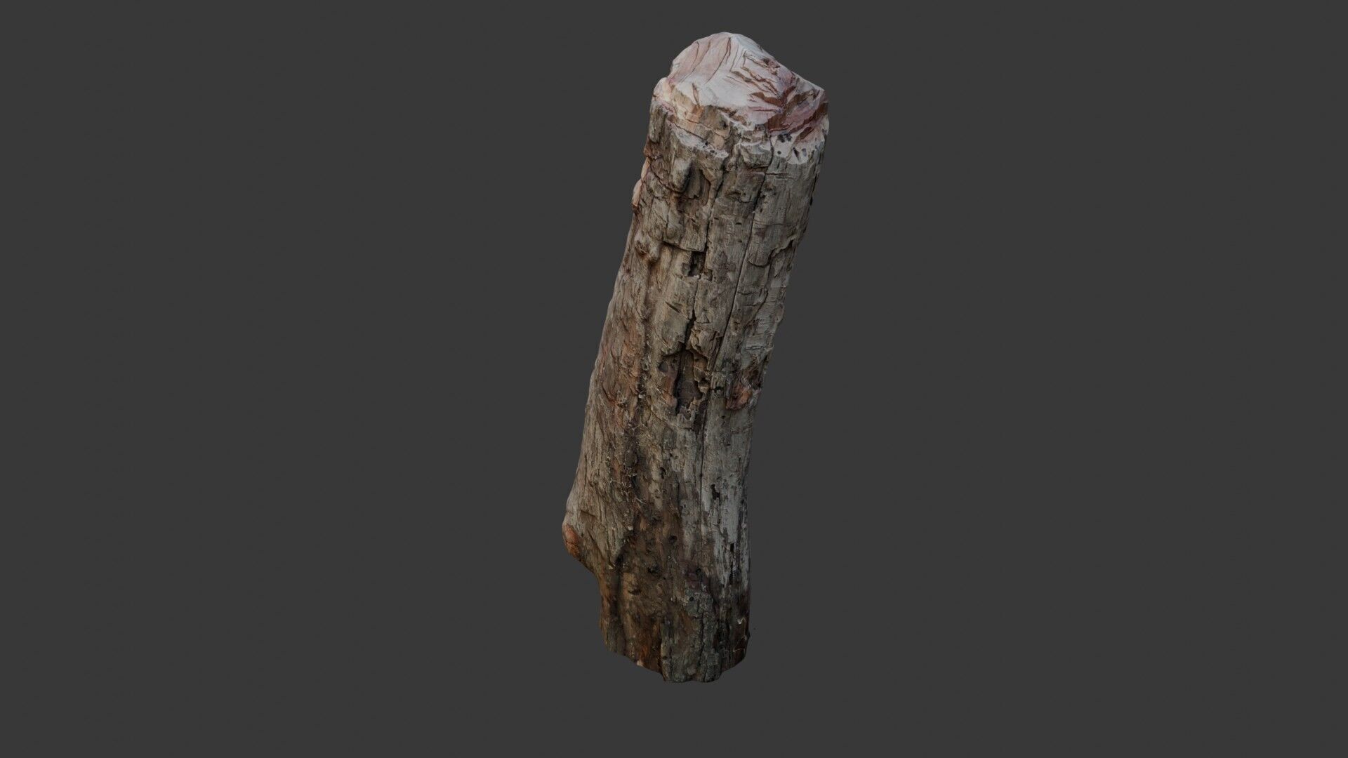 Weathered Wooden Post 3D Scan Low-poly 3D model_7