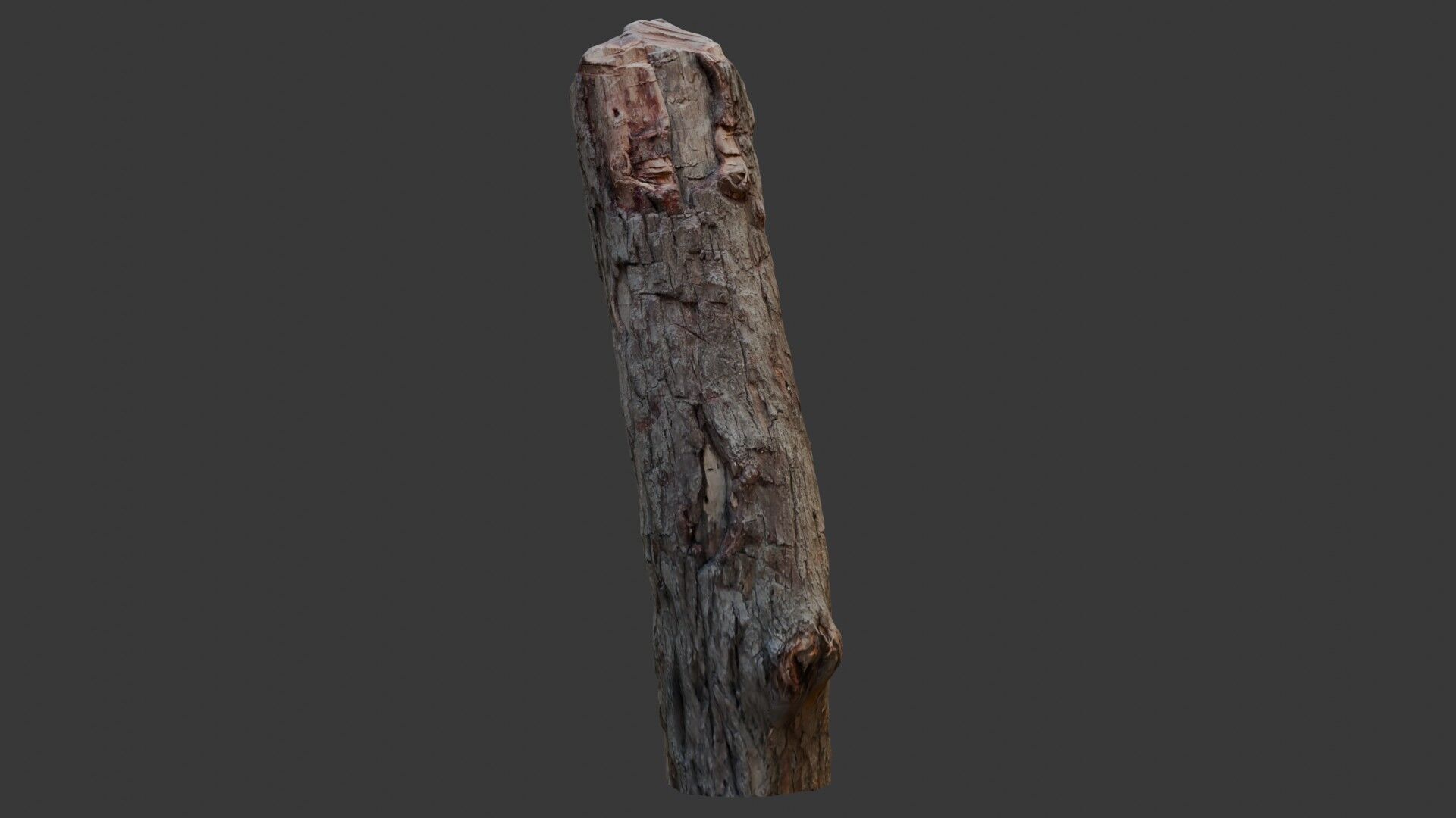 Weathered Wooden Post 3D Scan Low-poly 3D model_1
