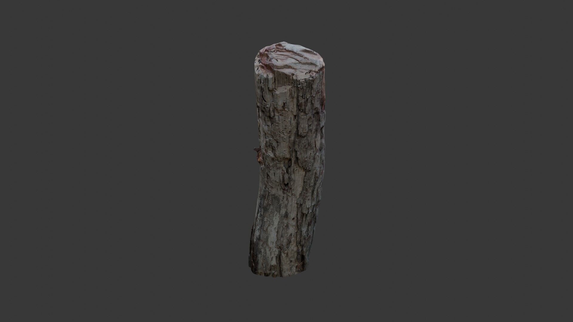 Weathered Wooden Post 3D Scan Low-poly 3D model_5