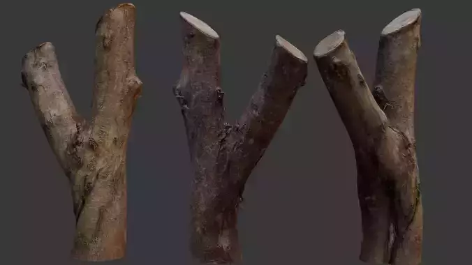 Forked Tree Branch 3D Scan
