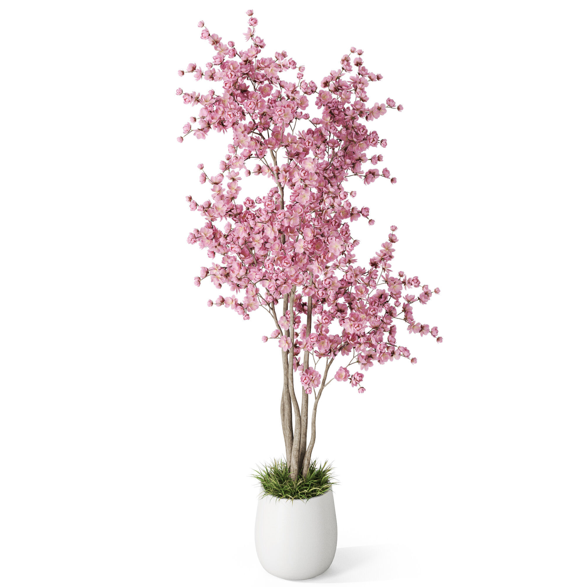 Plants collection 1200 3D model_3