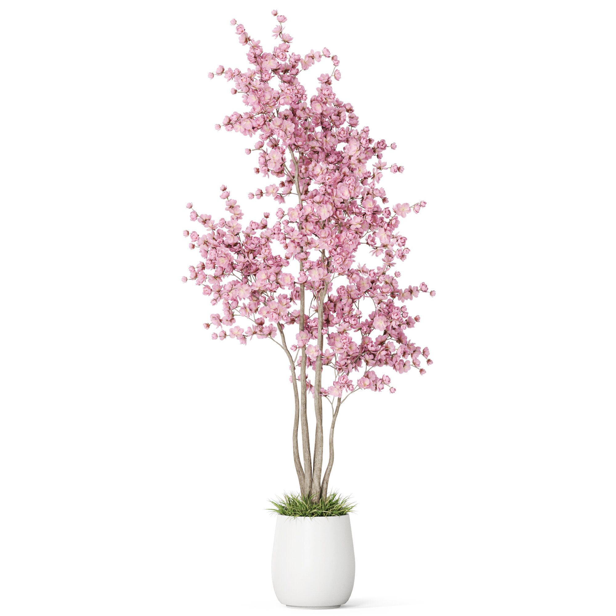 Plants collection 1200 3D model_1