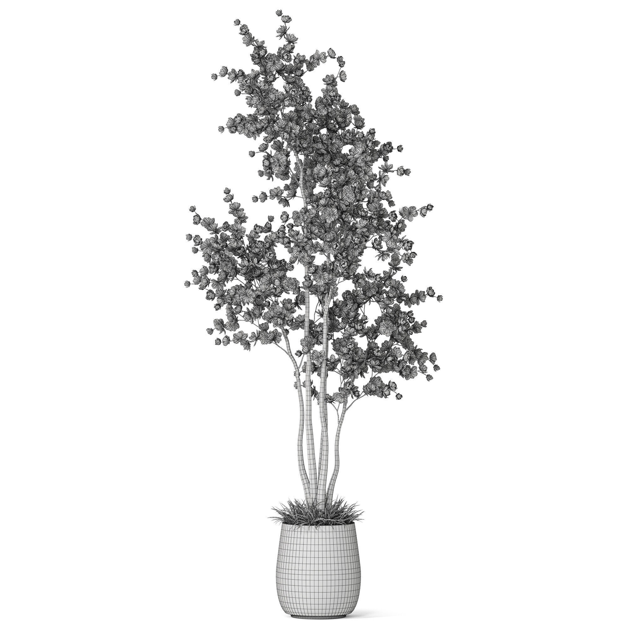 Plants collection 1200 3D model_4