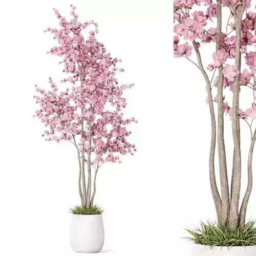 Plants collection 1200 3D model
