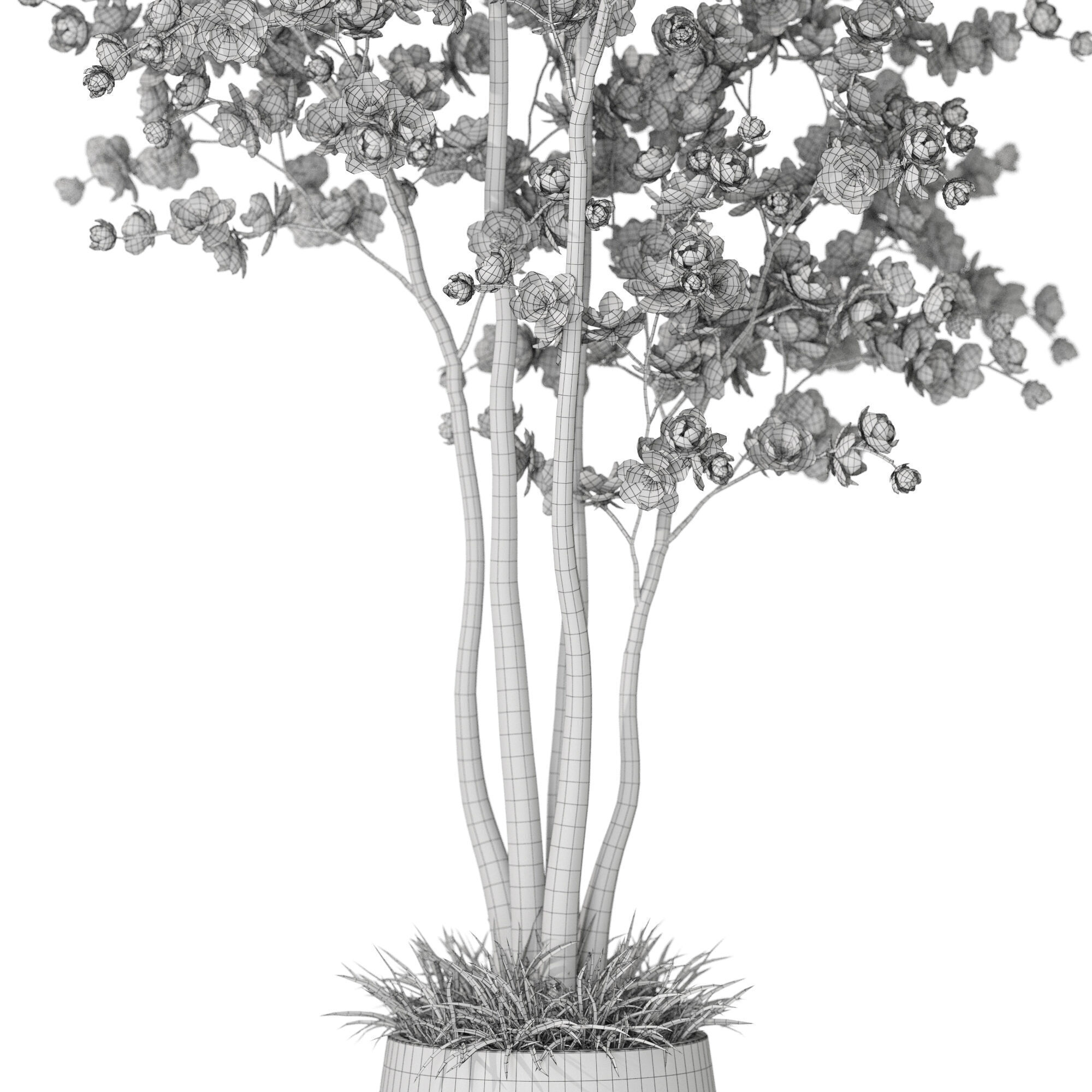 Plants collection 1200 3D model_5