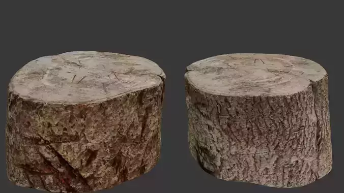 Tree Stump 3D Scan Low-poly 3D model