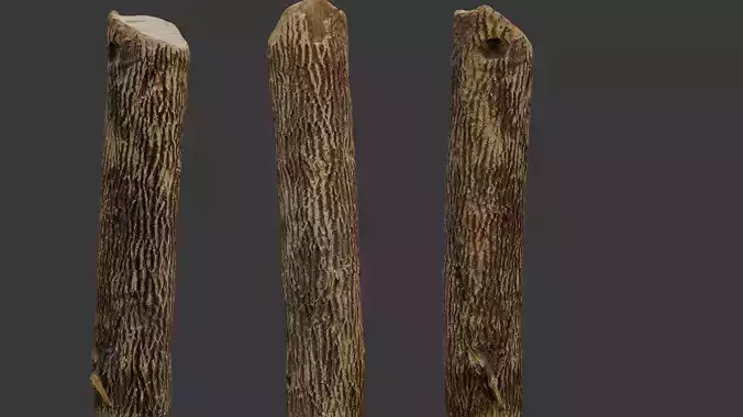 Wooden Post 3D Scan