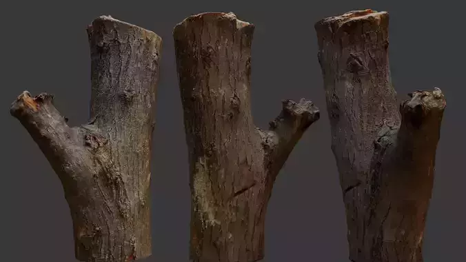 Tree Trunk with Branch Stubs 3D Scan