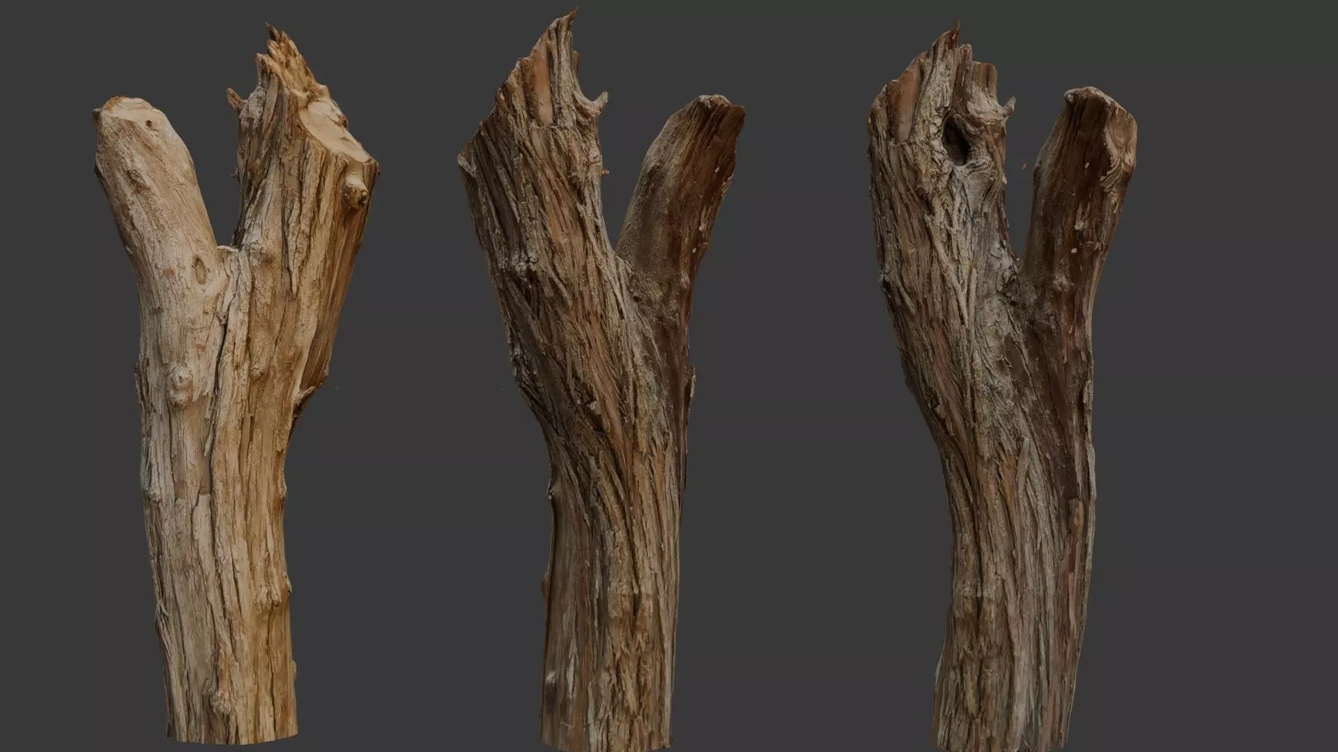 Weathered Tree Trunk 3D Scan Low-poly 3D model