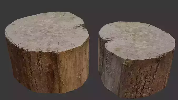 Tree Stump 3D Scan