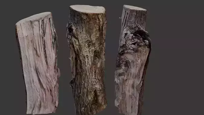  Tree Log 3D Scan