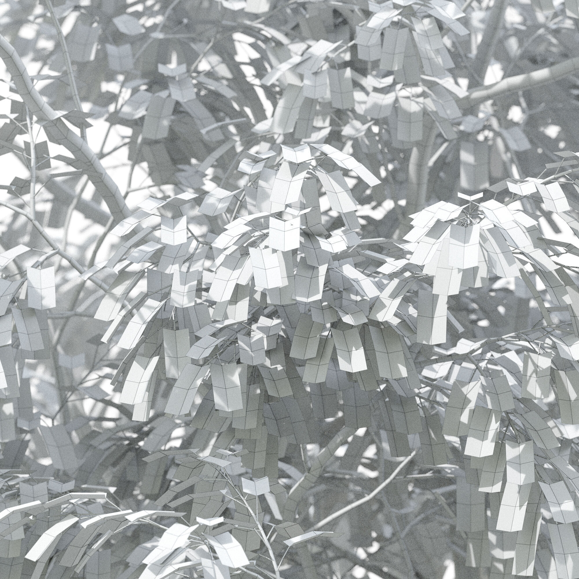 Tree 02 3D model_5