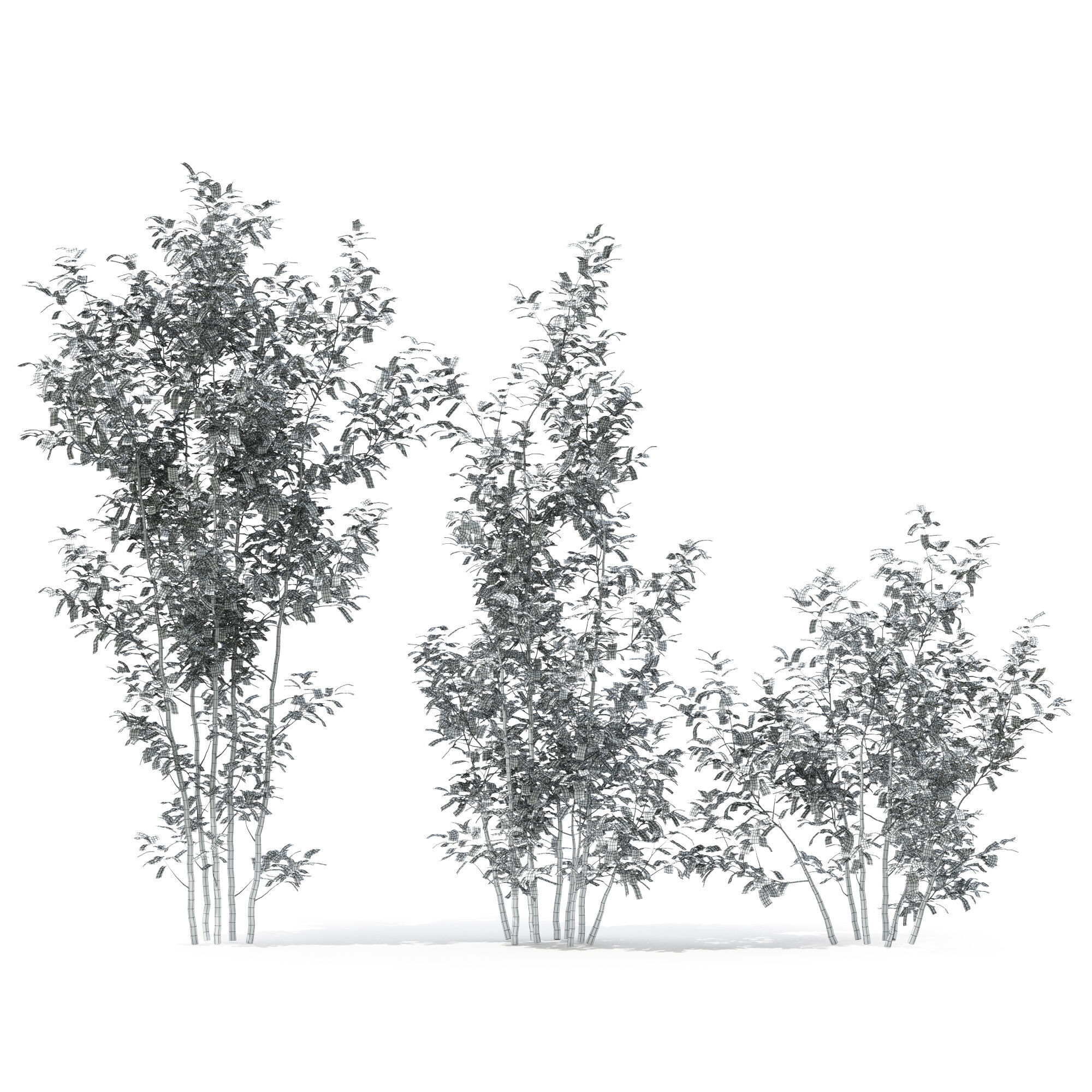 Tree 03 3D model_4