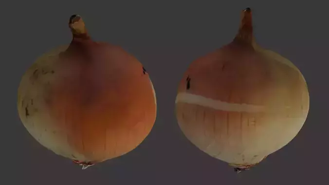 Onion 3D Scan