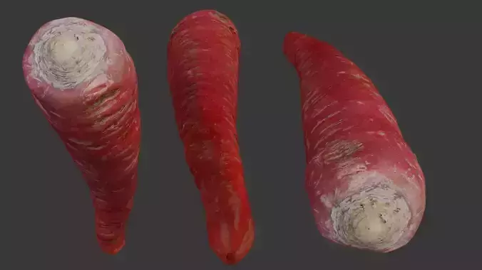 Red Carrot 3D Scan