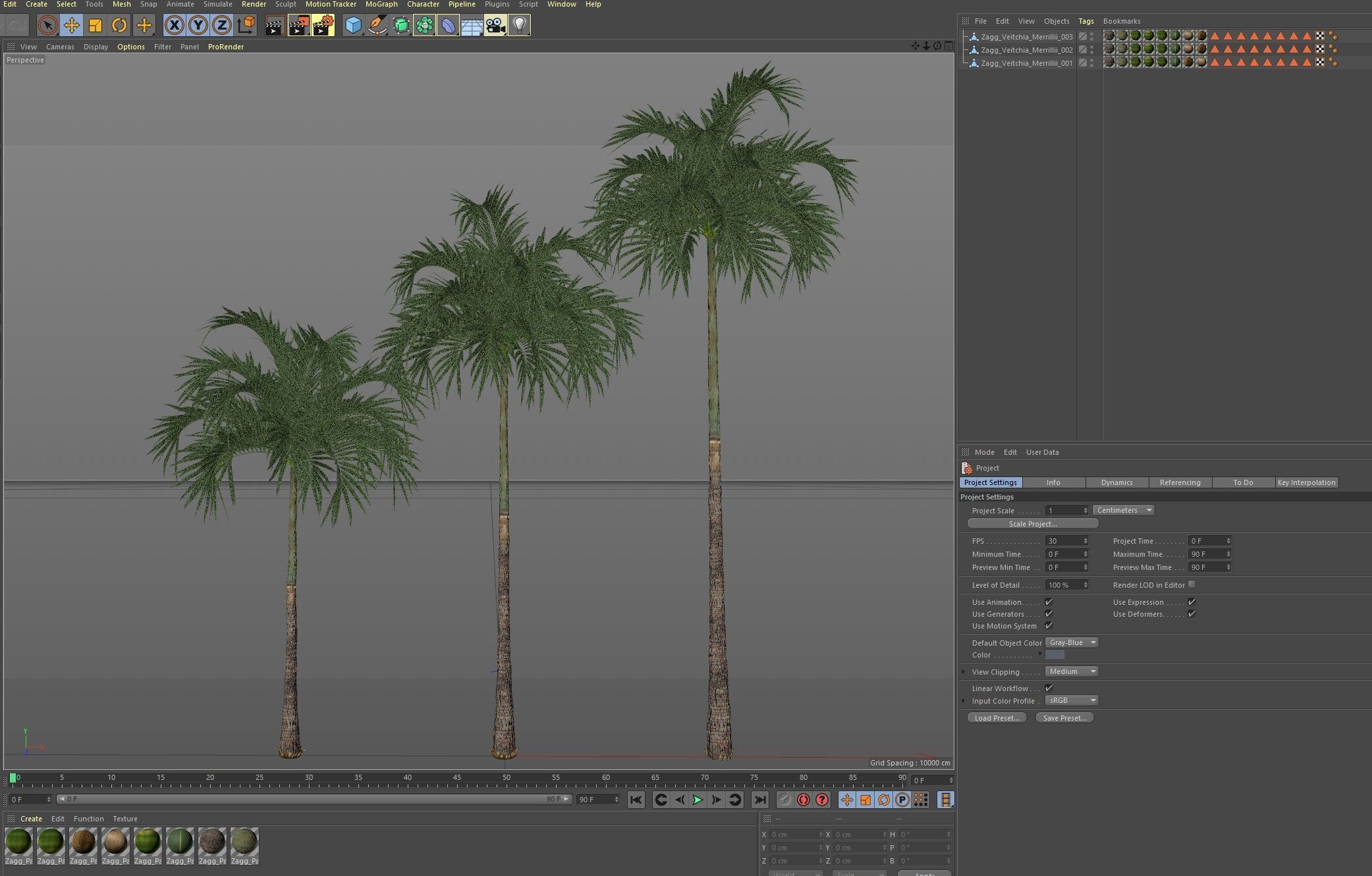 Tree 06 Veitchia Merrillii 3D model_5