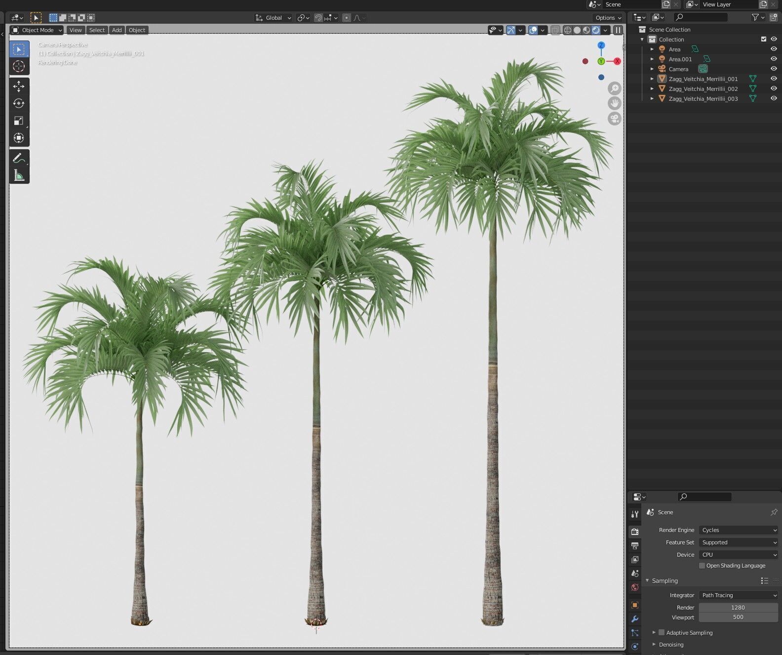 Tree 06 Veitchia Merrillii 3D model_6