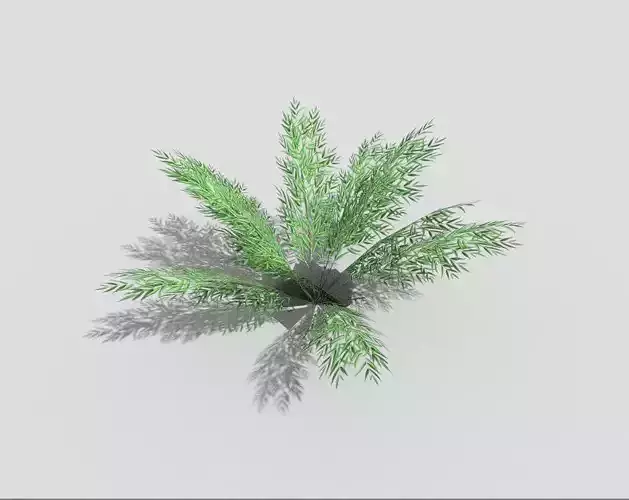 Low poly Plant