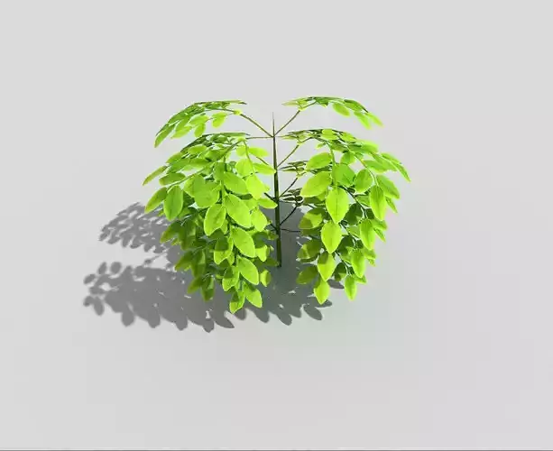 Low poly Plant