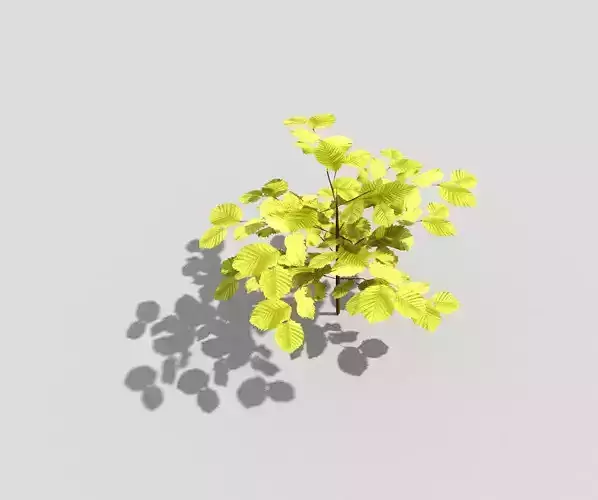 Low poly Plant Low-poly 3D model
