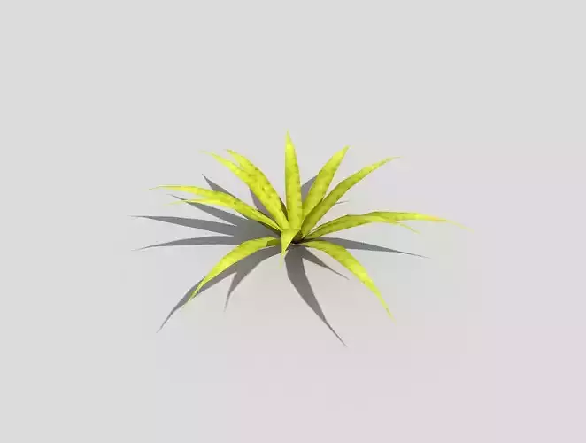 Low poly Plant aloe vera