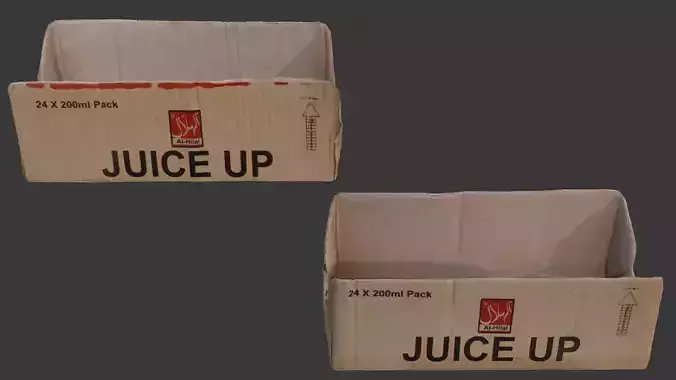 Worn Cardboard Juice Box Tray 3D Scan