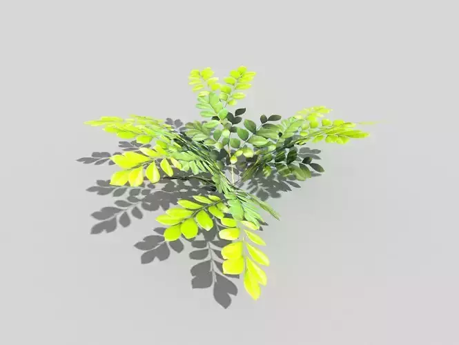 Low poly Plant