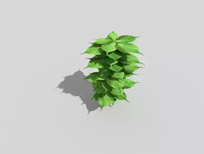Low poly Plant ivy