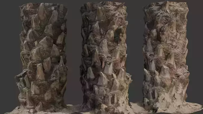 Palm Tree Trunk 3D Scan