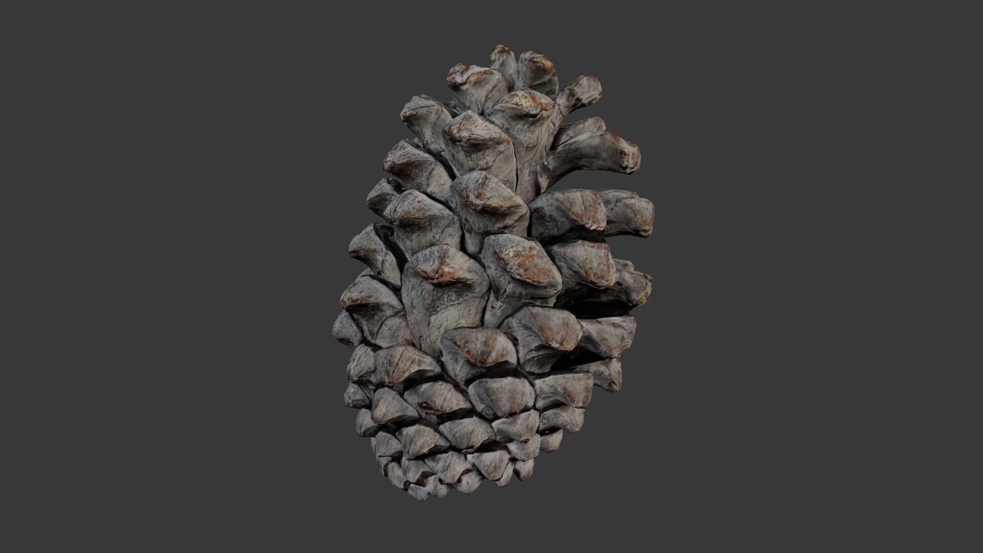 Pine Cone 3D Scan Low-poly 3D model_1