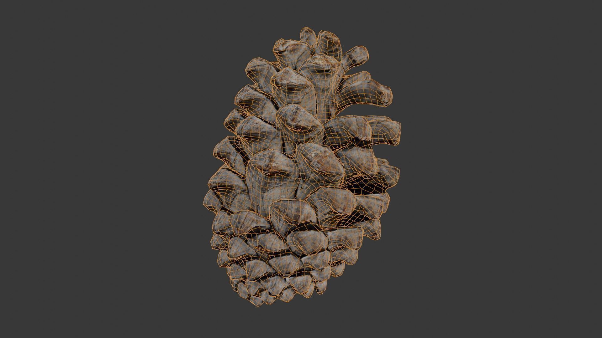 Pine Cone 3D Scan Low-poly 3D model_2