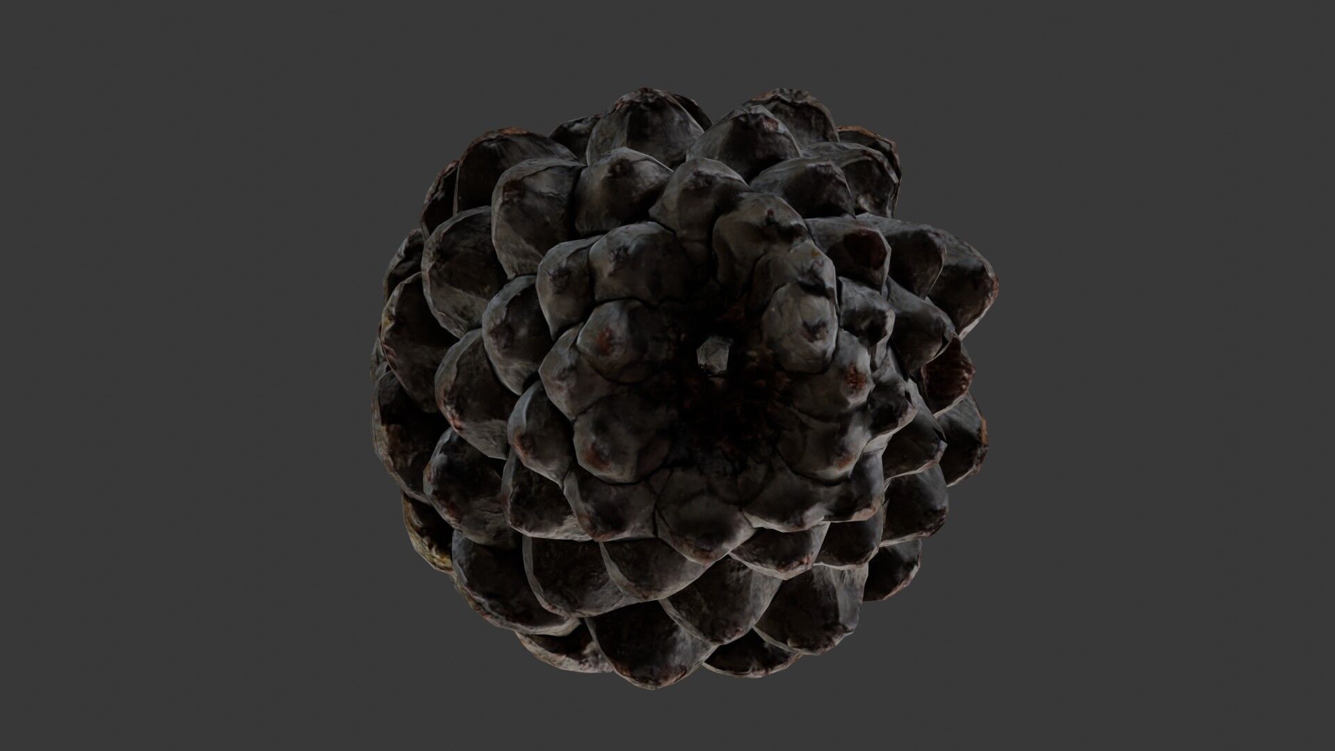 Pine Cone 3D Scan Low-poly 3D model_7