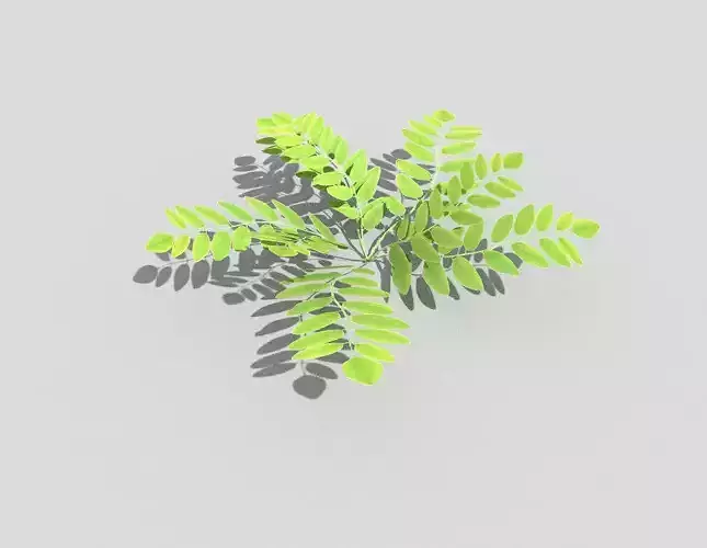 Low poly Plant leaf