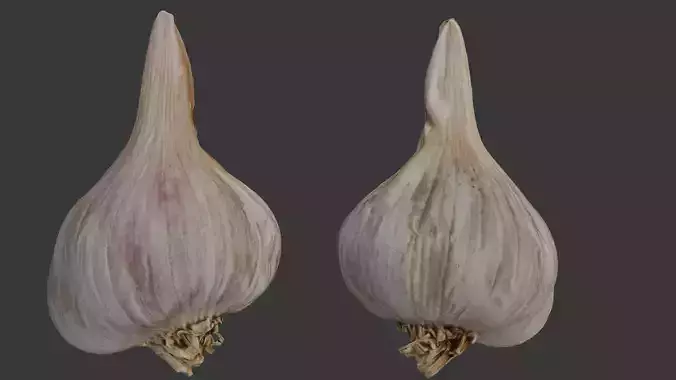 Garlic Bulb 3D Scan