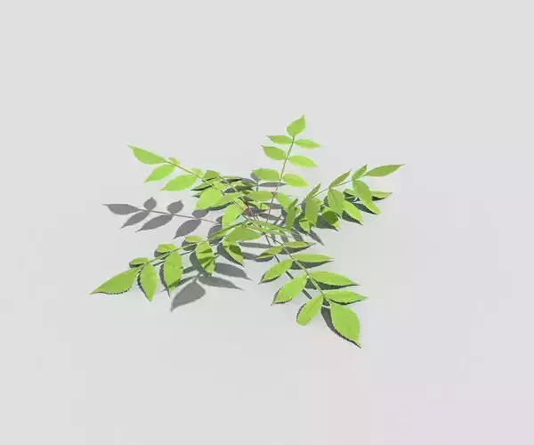 Low poly Plant leaf
